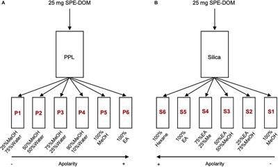 Antioxidant Activity and Phenolic Content of Marine Dissolved Organic Matter and Their Relation to Molecular Composition